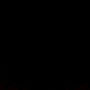 Meet your Posher, Skye